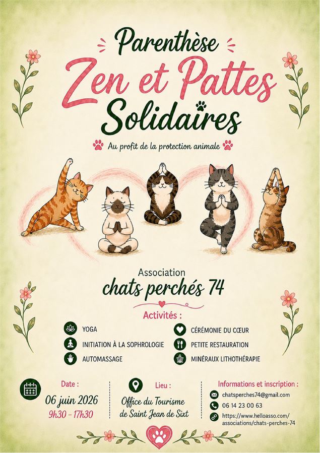 des chats prennent des postures de yoga - Chats perchés