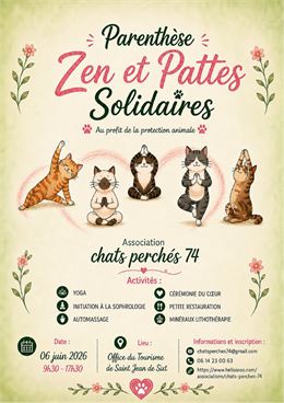 des chats prennent des postures de yoga - Chats perchés