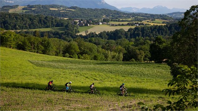 VTT dans un chemin de campagne - La Maison du Vélo