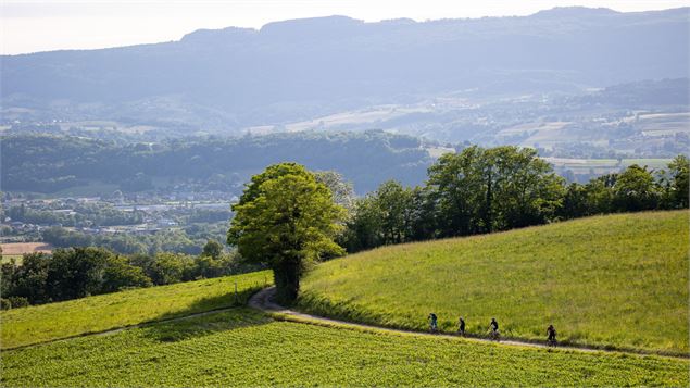 VTT dans un chemin de campagne - La Maison du Vélo