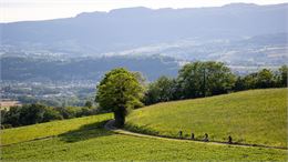 VTT dans un chemin de campagne - La Maison du Vélo