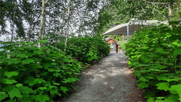 1ère visite guidée de la saison au Jardin des Cimes_Passy