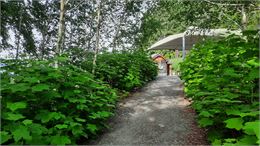 1ère visite guidée de la saison au Jardin des Cimes_Passy