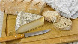 tomme + pain - canva