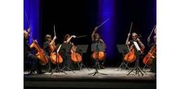 Musiciens - Cello Arte