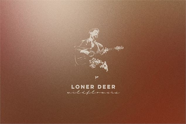 Loner Deer