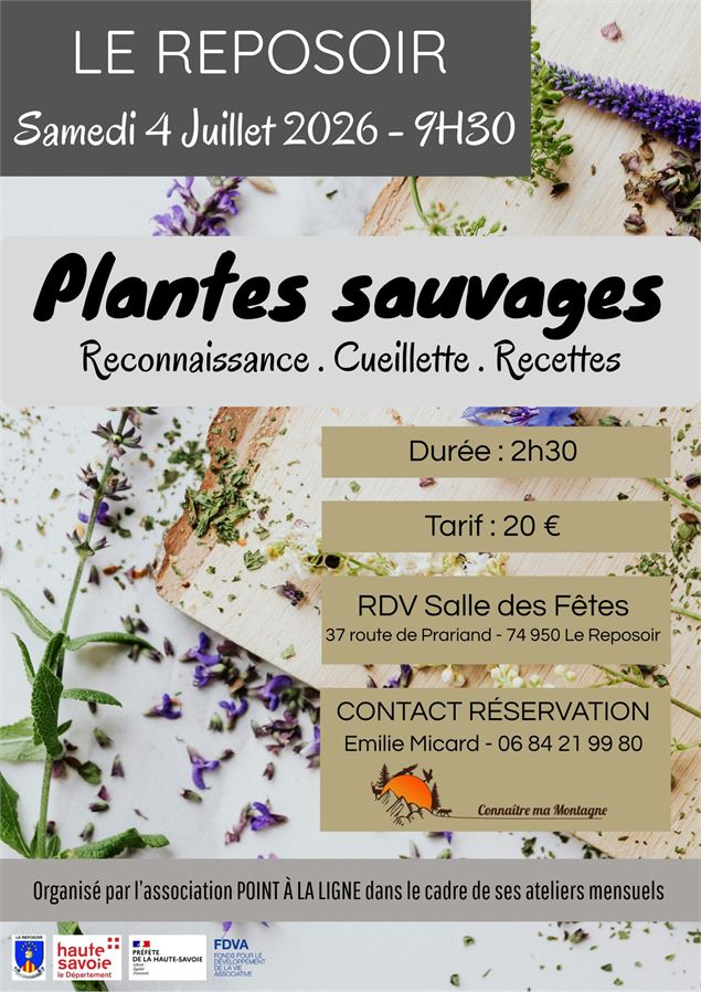 Plantes sauvages - Association Point à la ligne