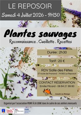 Plantes sauvages - Association Point à la ligne