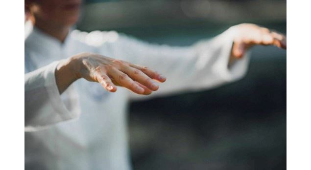 QI GONG - ZENTAO