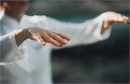 QI GONG - ZENTAO