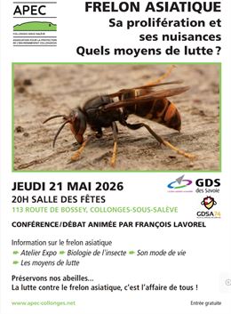 Conférence sur le Frelon asiatique_Collonges-sous-Salève - APEC Collonges sous Salève