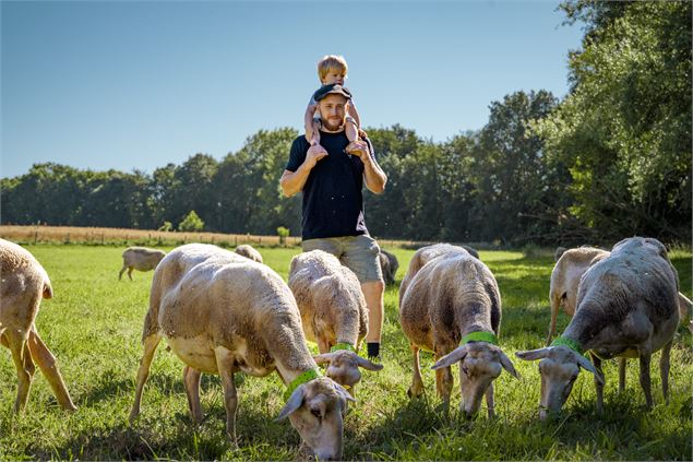Visite de la ferme de brebis, nourrissage, dégustation et atelier