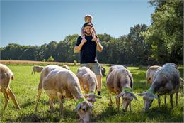 Visite de la ferme de brebis, nourrissage, dégustation et atelier "laine"_Francheleins - Quentin TOU
