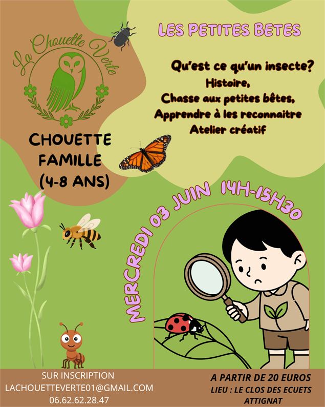 A la découverte des petites bêtes - la chouette verte
