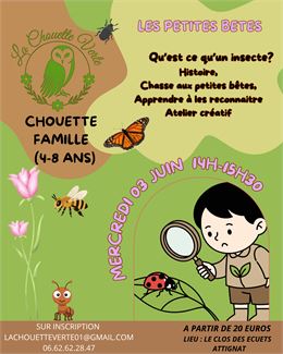 A la découverte des petites bêtes - la chouette verte
