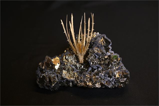 Cardère sur Pyrite - Pierre et Patricia Vacher