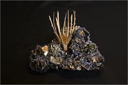 Cardère sur Pyrite - Pierre et Patricia Vacher