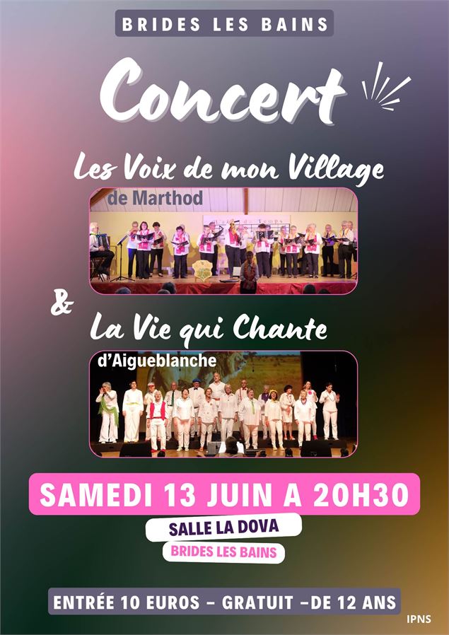Affiche - Les voix de mon village