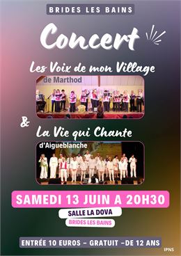 Affiche - Les voix de mon village