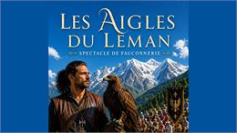 Spectacle "Les aigles du Léman"_Les Houches