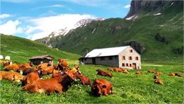 Alpage des Veys - ©Radio FRance - C.PIN