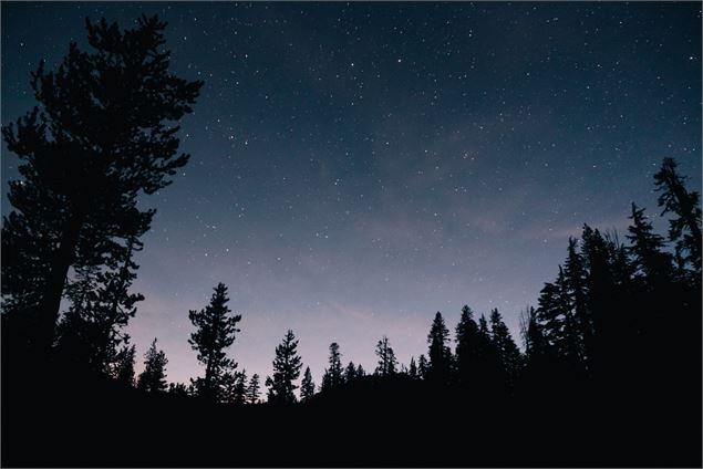 Nuit étoilée - Freepik