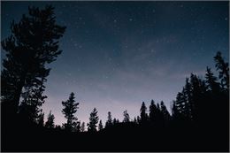Nuit étoilée - Freepik
