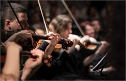 Ensemble de violons - Unsplash