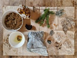 Carnets d'Eve - Eve Pietruschi