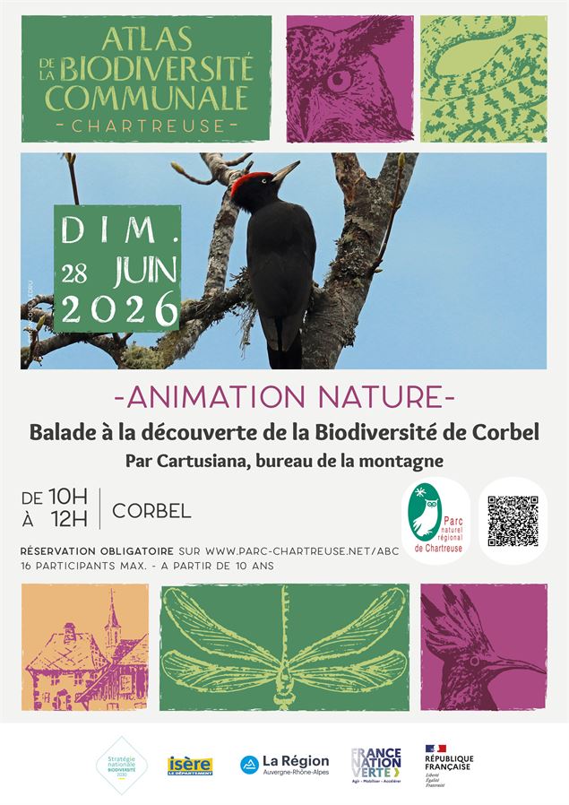 affiche animation - PNRC