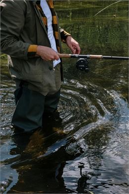 Concours de pêche à la truite - Pexels