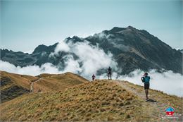 Science Sandwich - Trail en montagne : quel impact sur la faune sauvage ?