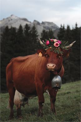 L'emmontagnée des vaches aux Lindarets_Saint-Jean-d'Aulps - Mélanie Gilson / OTVA