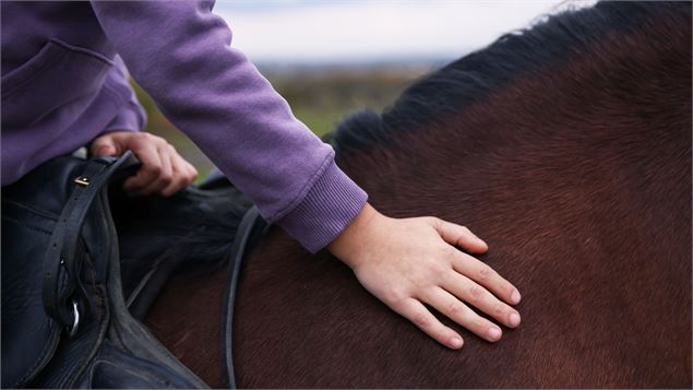 main sur un cheval - canva