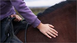main sur un cheval - canva
