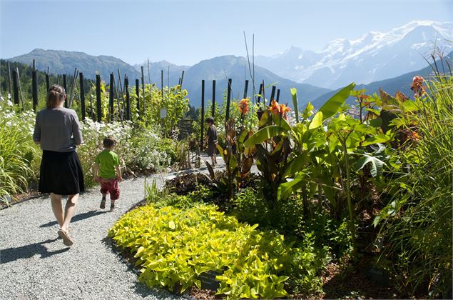 Rendez-vous au jardin... Des Cimes : Visite Guidée du Jardin_Passy