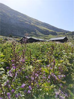Refuge de Sales - Laurelyne Gervais