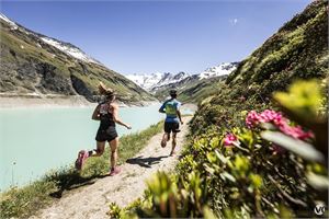 Swiss Peaks Trail