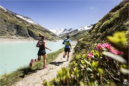 Swiss Peaks Trail