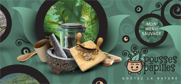 Site web Pousses-Papilles - C. Sevestre