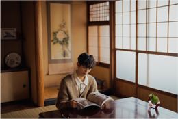 Visuel sur le Japon