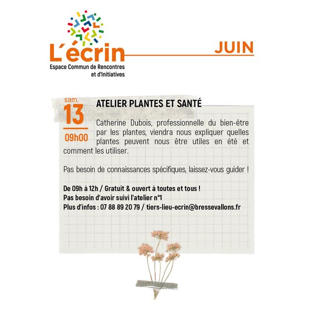 Atelier Bienfaits des Plantes n° 2