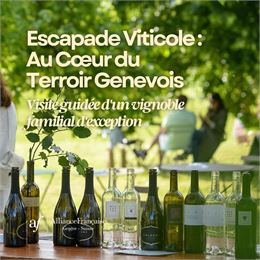 Escapade Viticole et Dégustation : Au Cœur du Terroir Genevois - DR