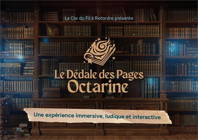 La bibliothèque dissipée du Dédale des pages Octarine - Cie du Fil à retordre