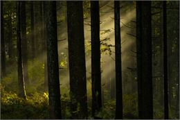 Escape Game : le secret du baume des bois_Morgins
