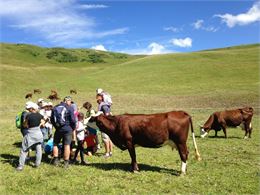 Visite guidée : A la rencontre d'un alpagiste sur les pentes de Bisanne_Villard-sur-Doron - Fondatio