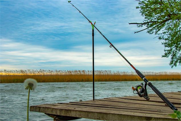 Concours de pêche - Pixabay