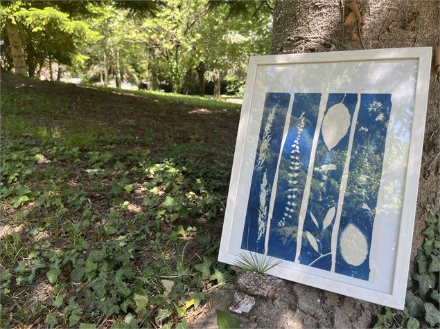 Atelier Cyanotype_Musée de la vigne et du vin de Savoie_Montmélian - Musée de la vigne et du vin de 