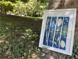 Atelier Cyanotype_Musée de la vigne et du vin de Savoie_Montmélian - Musée de la vigne et du vin de 