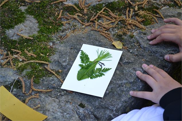 Atelier Land'Art_Musée de la vigne et du vin de Savoie_Montmélian - Musée de la vigne et du vin de S